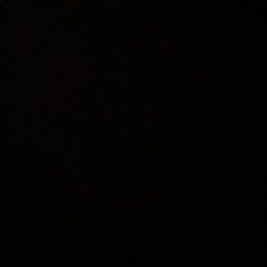 Meet your Posher, Liz